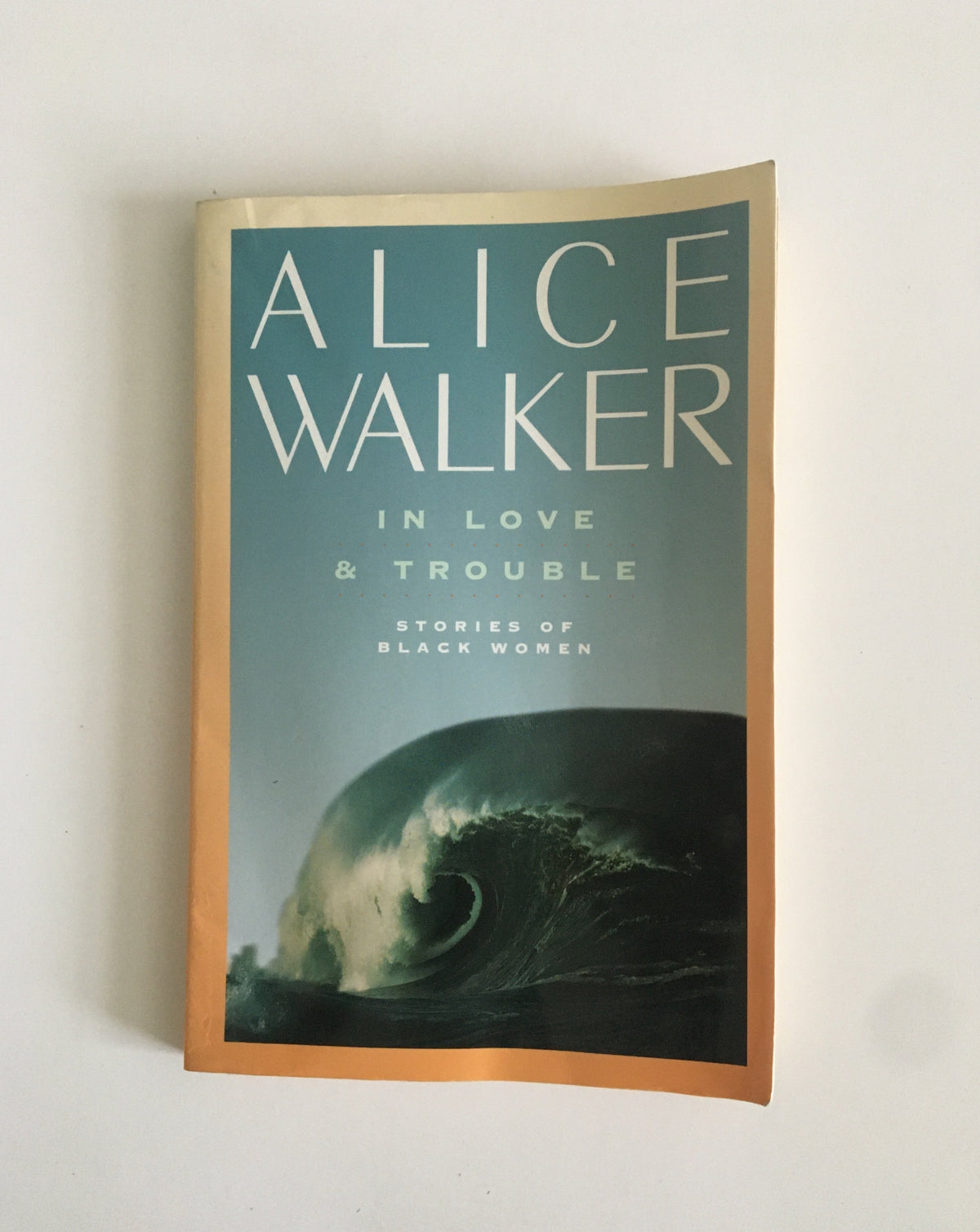 DONATE: In Love &amp; Trouble by Alice Walker