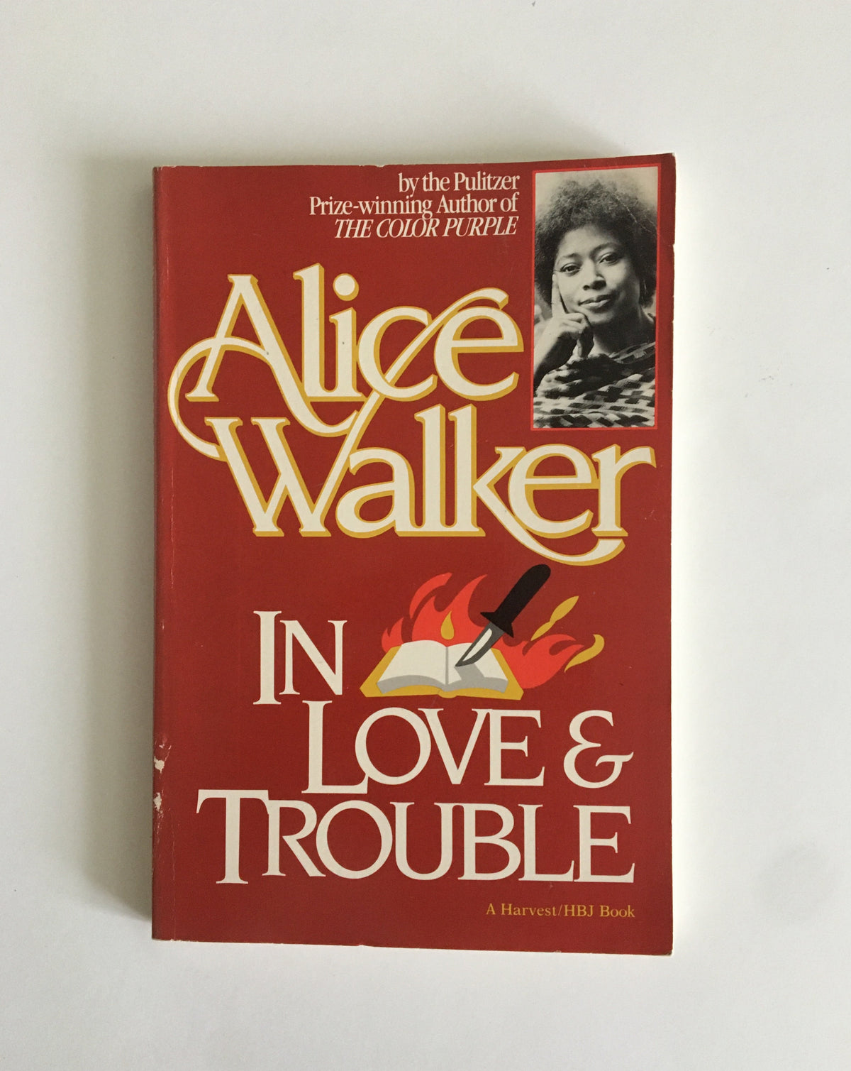 In Love &amp; Trouble by Alice Walker