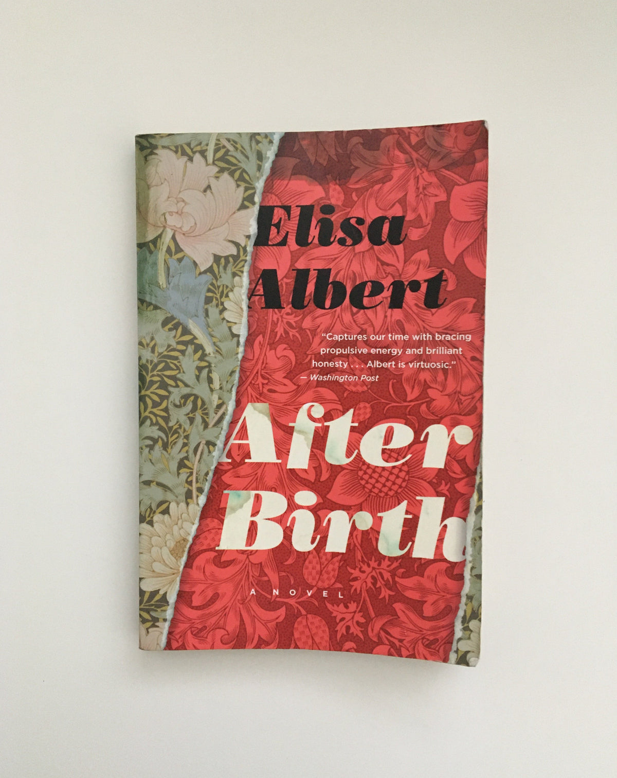 After Birth by Elisa Albert, book, Ten Dollar Books, Ten Dollar Books