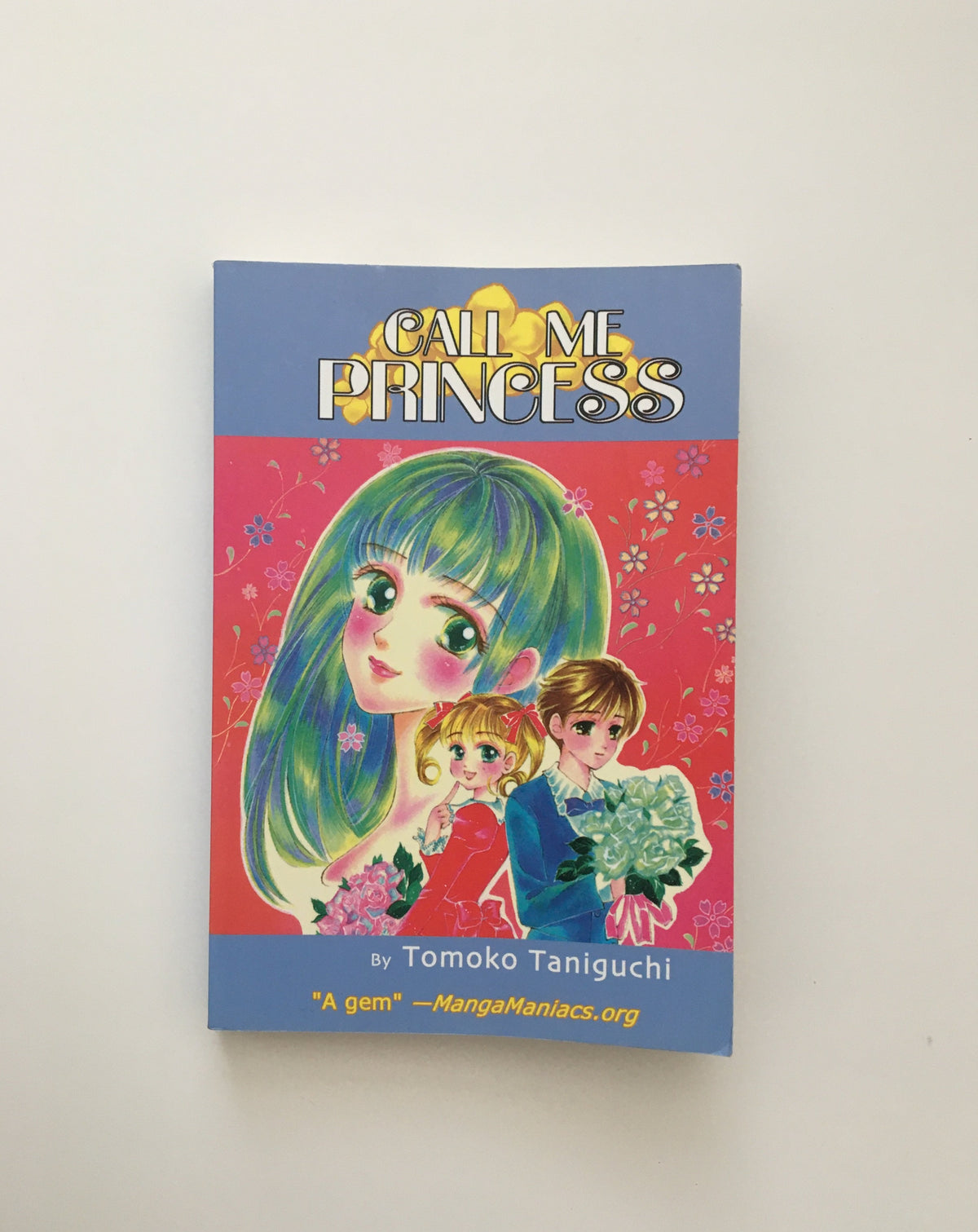 Call Me Princess by Tomoko Taniguchi, book, Ten Dollar Books, Ten Dollar Books