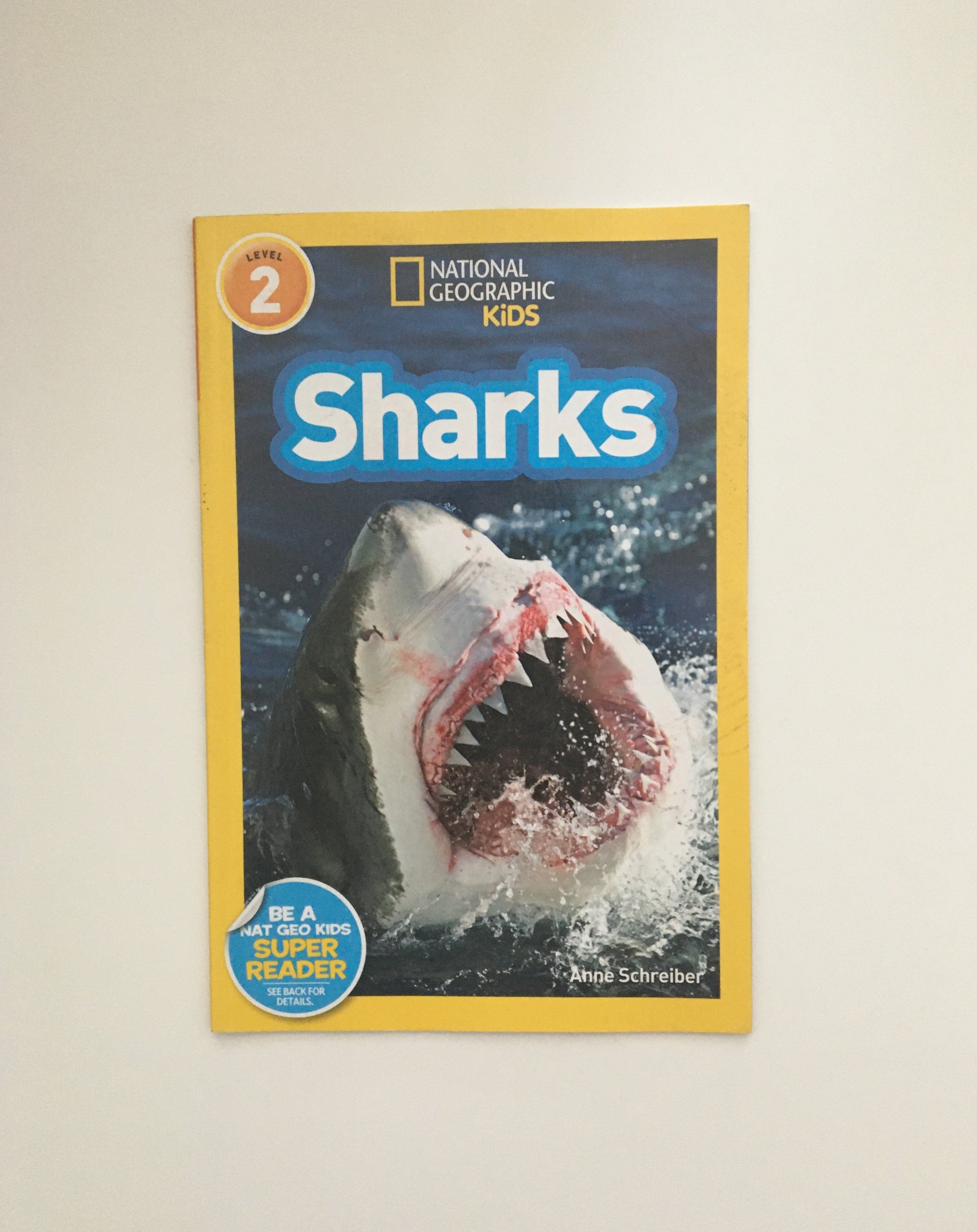 Sharks by Anne Schreiber, book, Ten Dollar Books, Ten Dollar Books