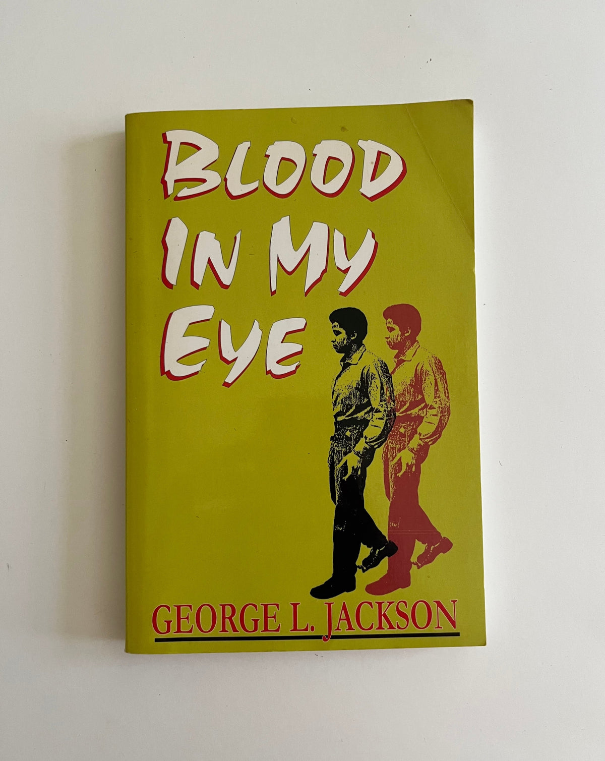 Blood in My Eye by George Jackson