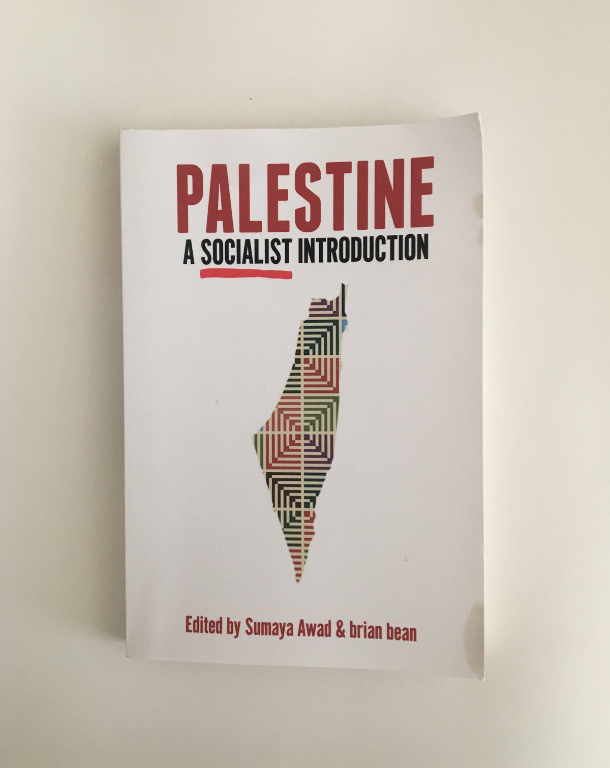 Palestine: A Socialist Introduction by Sumaya Awad and brian bean