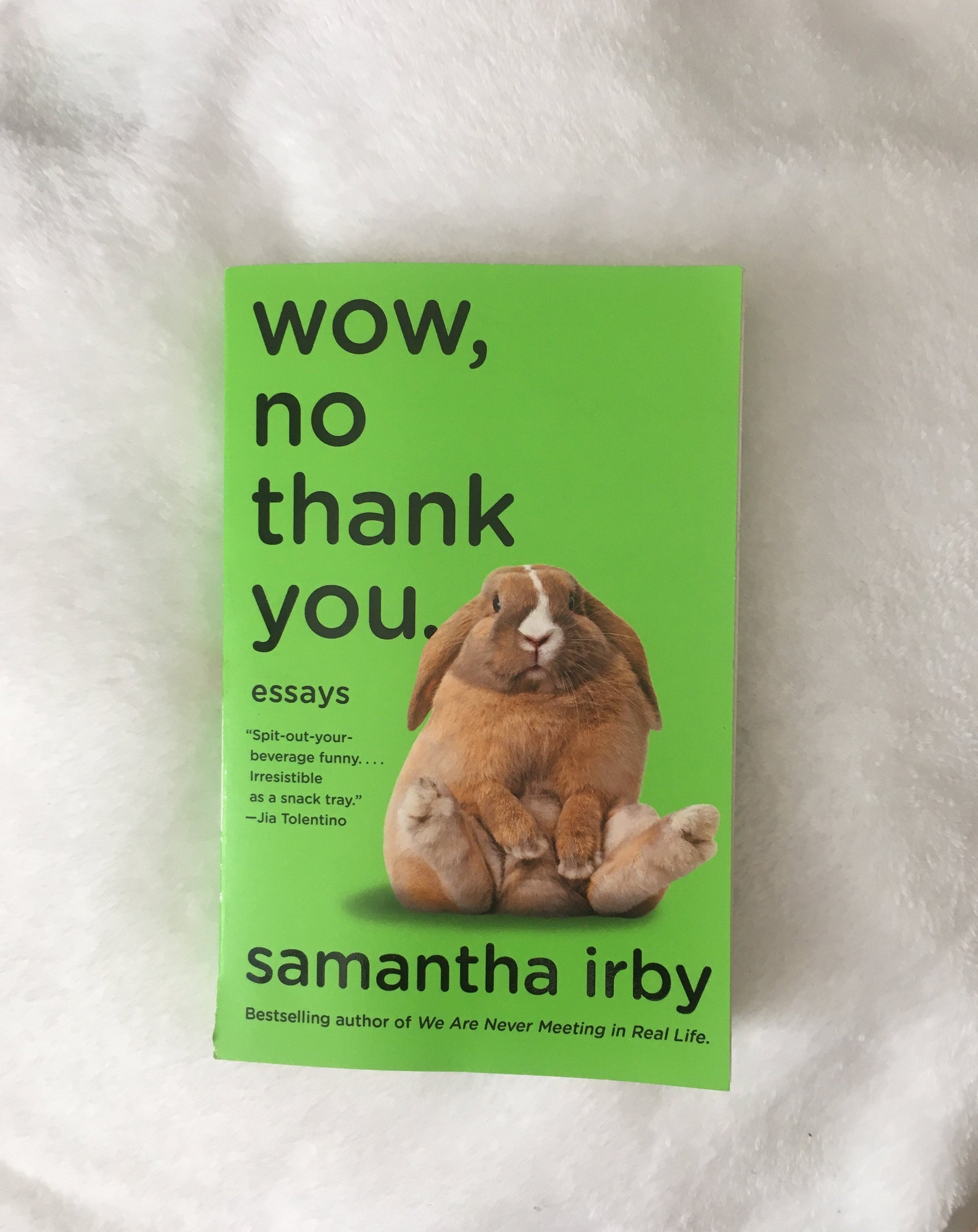 Wow, No Thank You by Samantha Irby, book, Ten Dollar Books, Ten Dollar Books