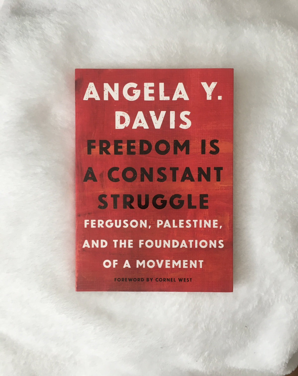 Freedom is a Constant Struggle by Angela Davis, book, Ten Dollar Books, Ten Dollar Books