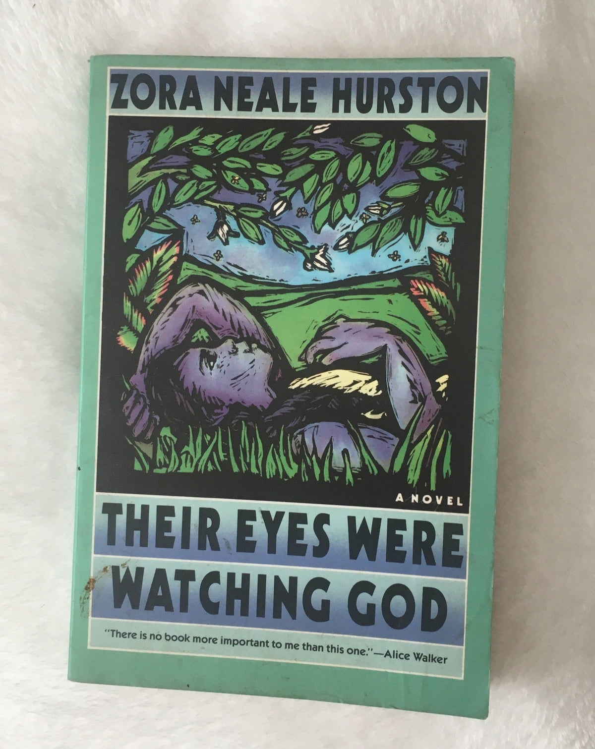 Their Eyes Were Watching God by Zora Neale Hurston, book, Ten Dollar Books, Ten Dollar Books