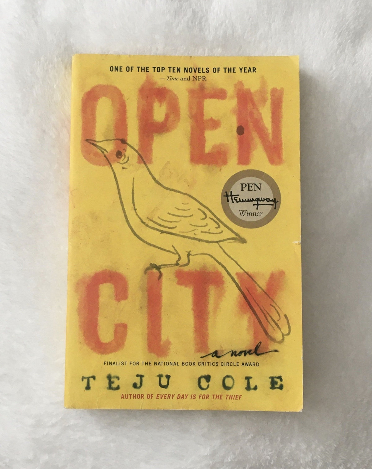 Open City by Teju Cole, book, Ten Dollar Books, Ten Dollar Books
