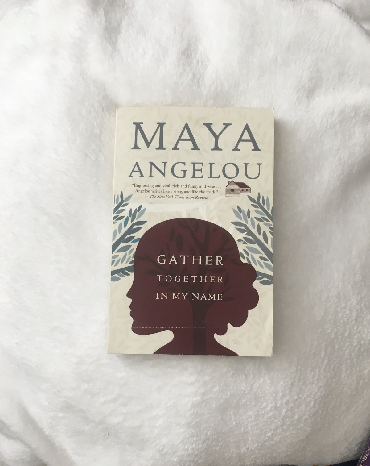 Gather Together in my Name by Maya Angelou, book, Ten Dollar Books, Ten Dollar Books