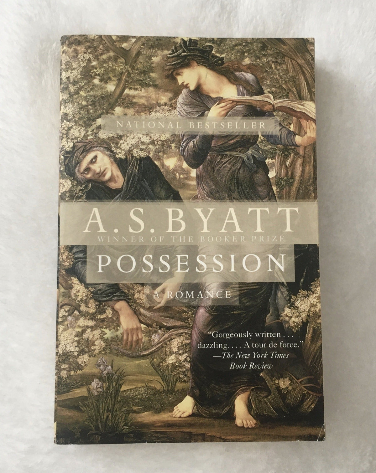 Possession by A.S. Byatt, Book, Ten Dollar Books, Ten Dollar Books