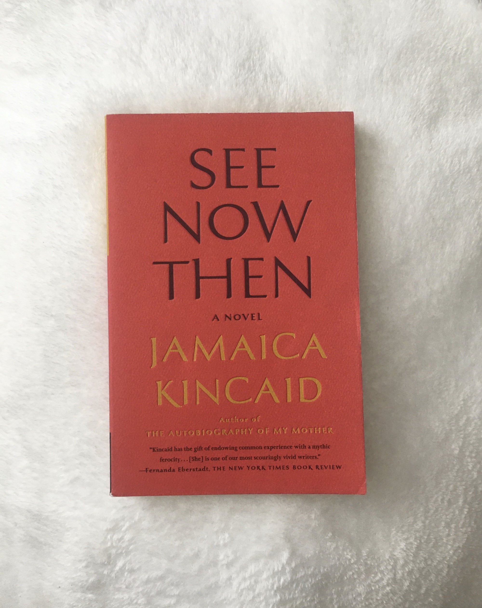 See Now Then by Jamaica Kincaid, book, Ten Dollar Books, Ten Dollar Books