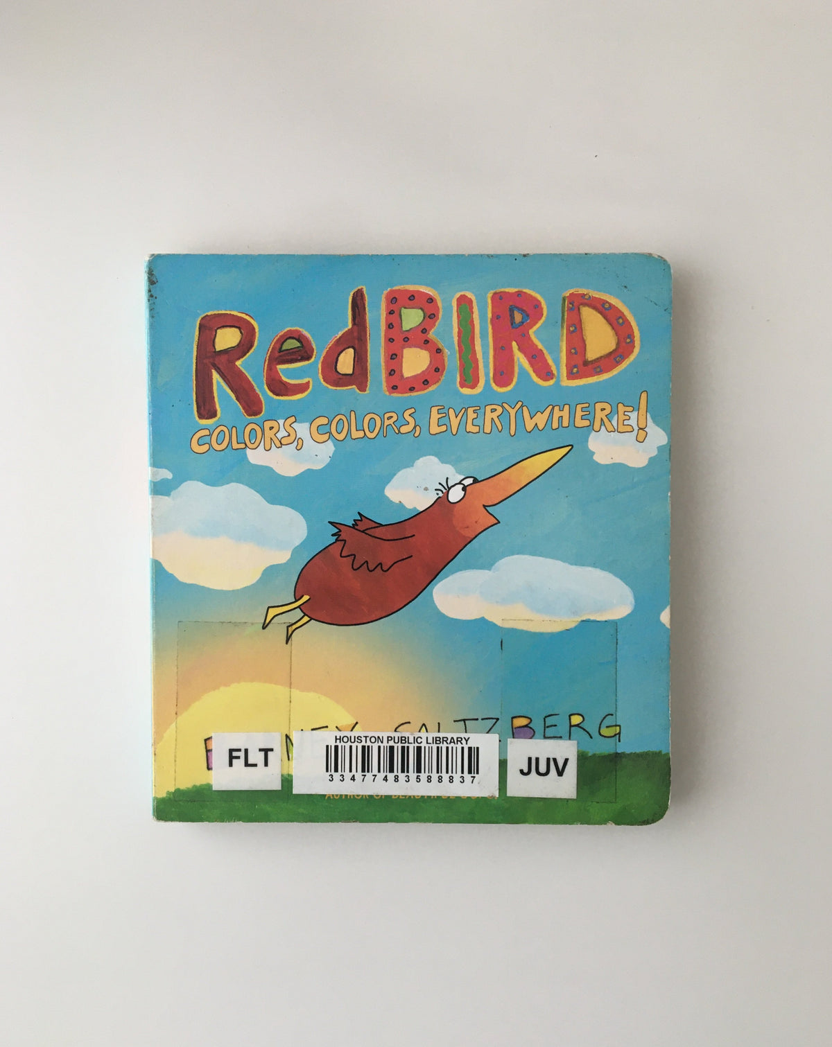 Redbird: Colors, Colors, Everywhere by Barney Saltzberg