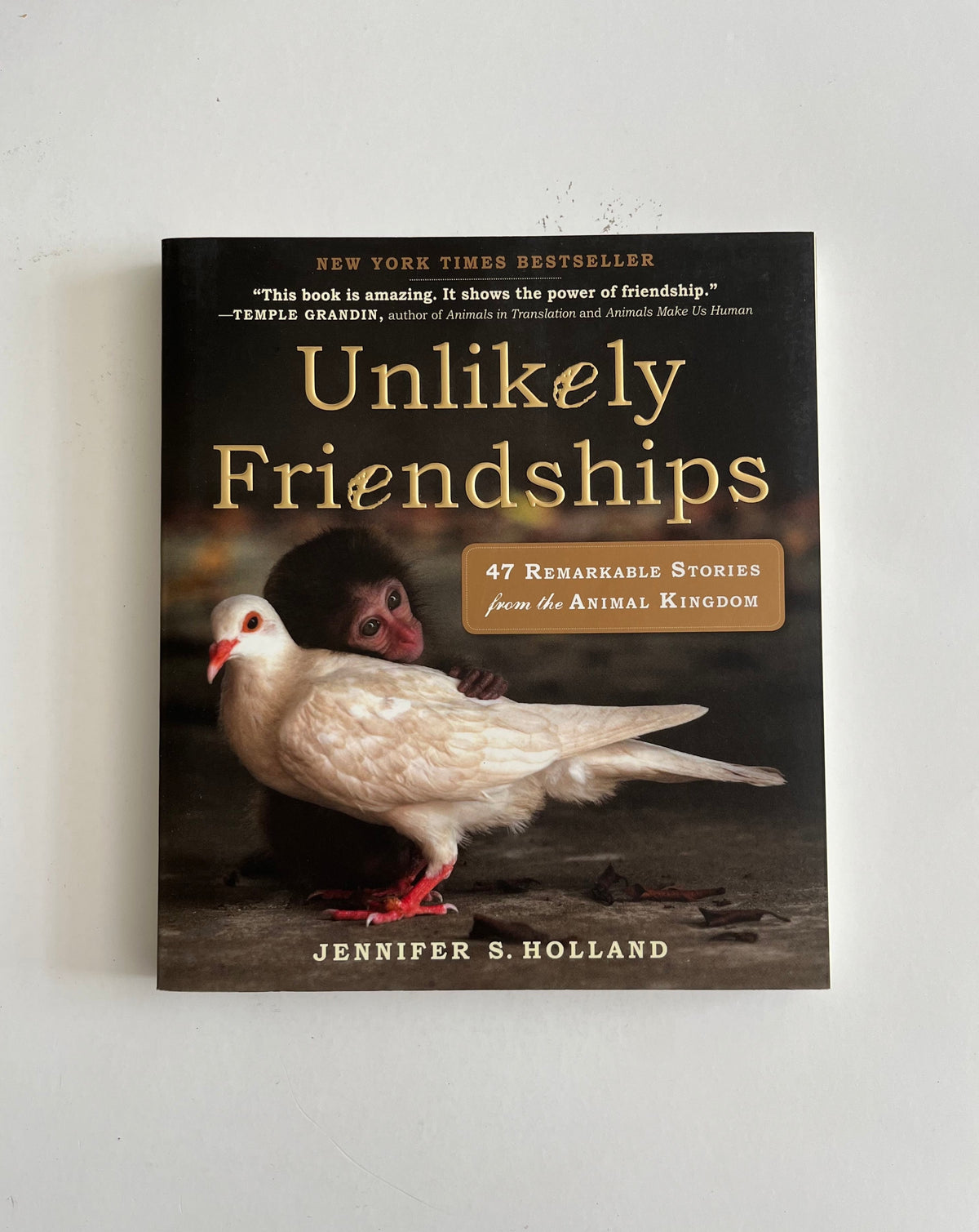 Unlikely Friendshups: 47 Remarkable Stories from the Animal Kingdom by Jennifer Holland