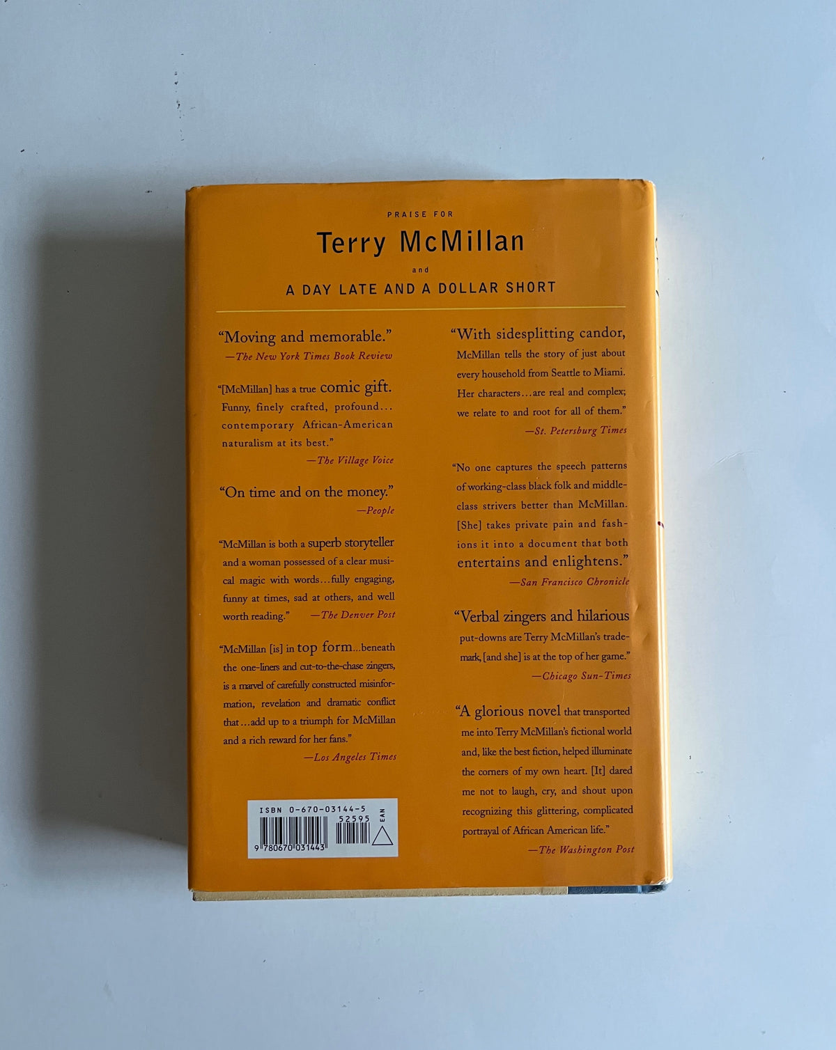The Interruption of Everything by Terry McMillan