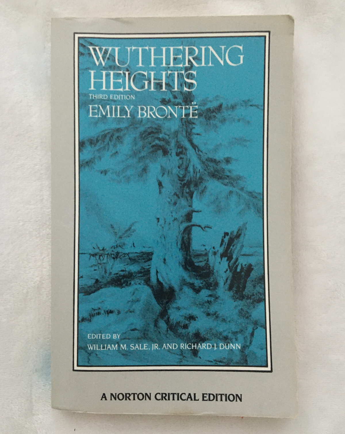 Wuthering Heights by Emily Bronte, book, Ten Dollar Books, Ten Dollar Books