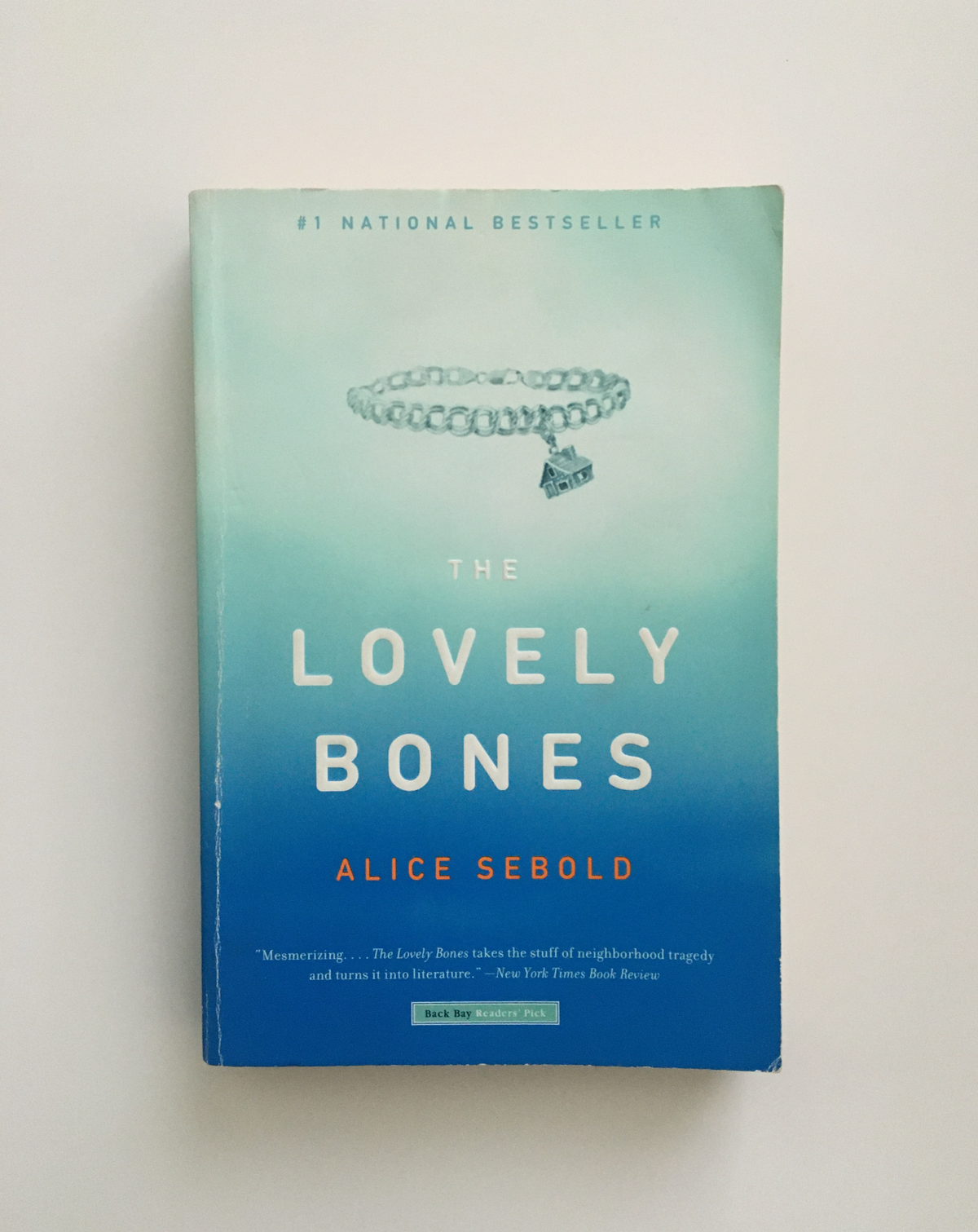 The Lovely Bones by Alice Sebold, book, Ten Dollar Books, Ten Dollar Books