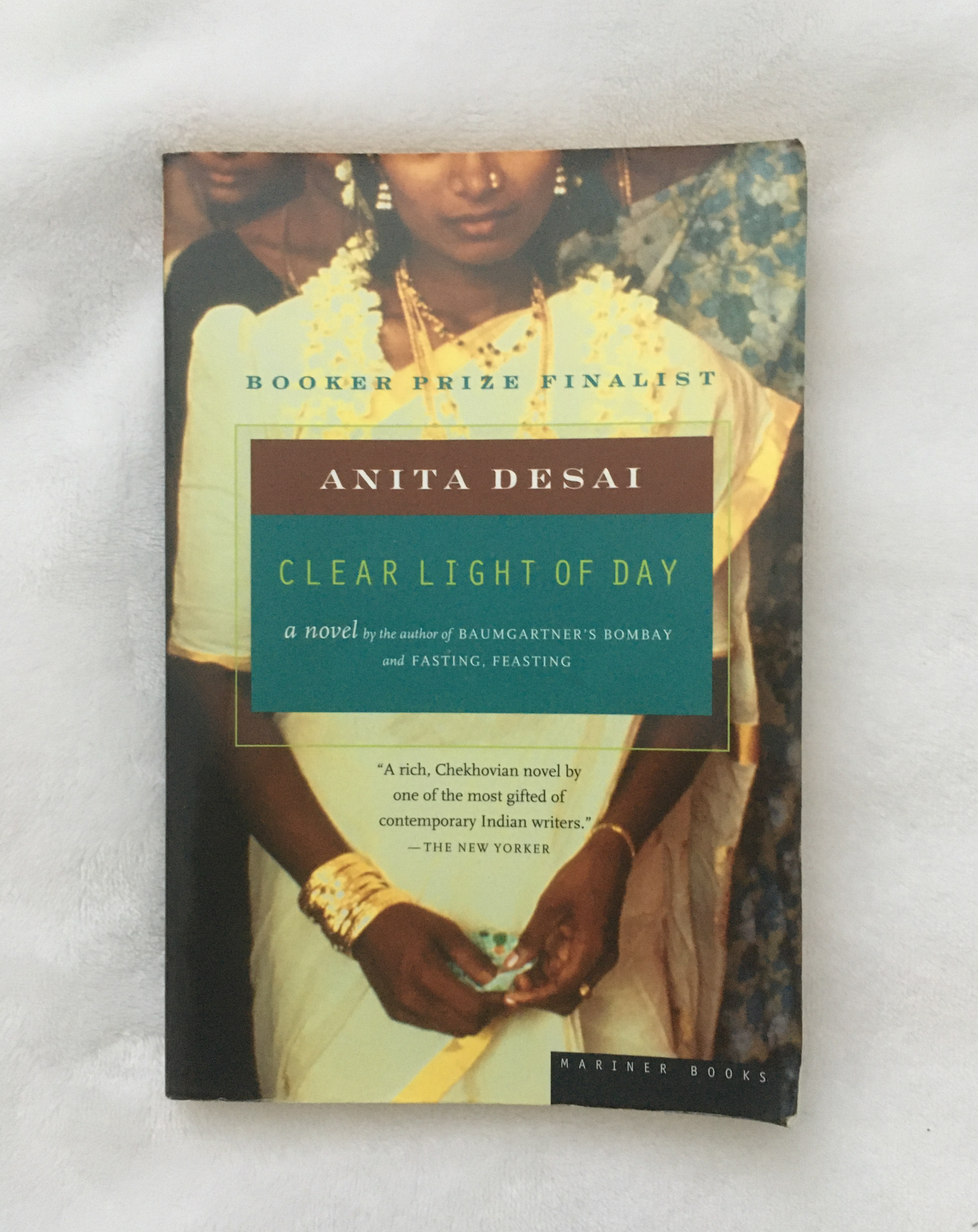 Clear Light of Day by Anita Desai, book, Ten Dollar Books, Ten Dollar Books