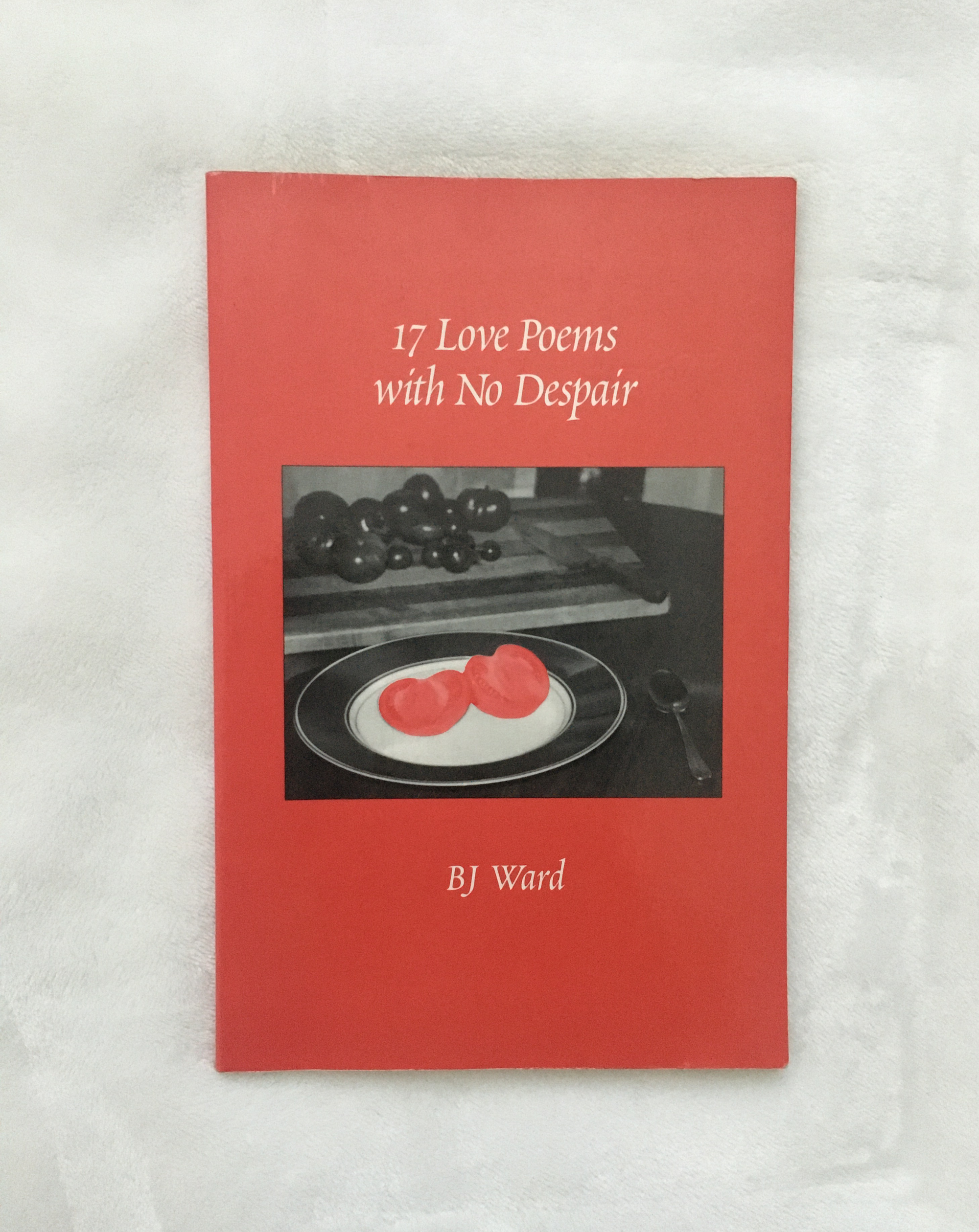 17 Love Poems with No Despair by BJ Ward, book, Ten Dollar Books, Ten Dollar Books