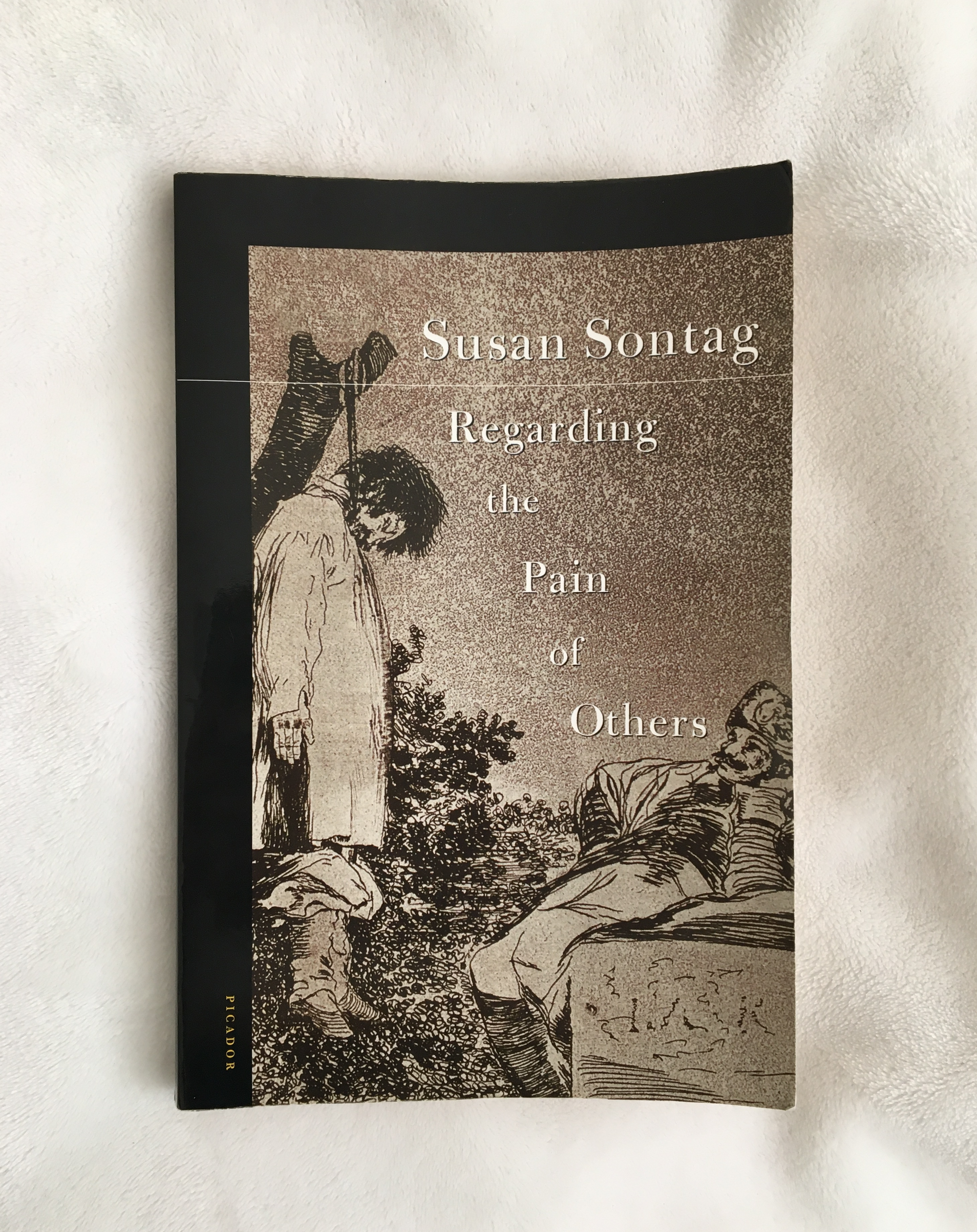 Regarding the Pain of Others by Susan Sontag, book, Ten Dollar Books, Ten Dollar Books