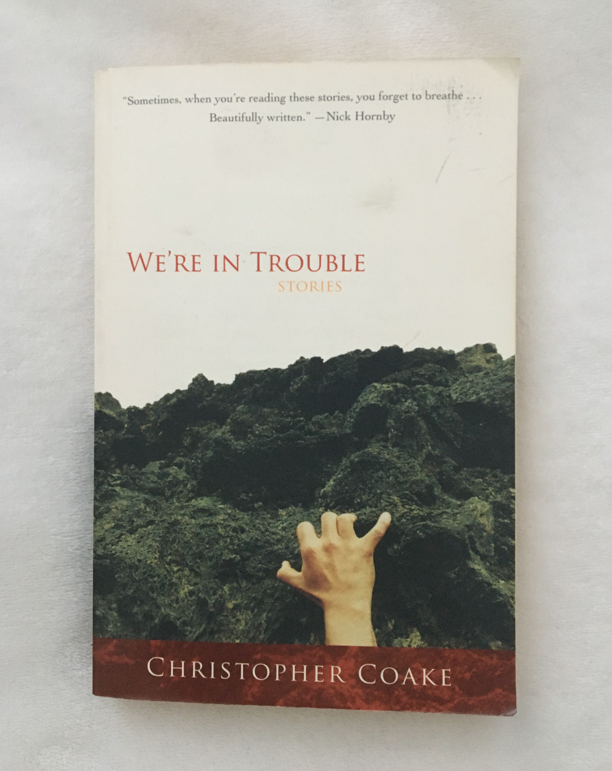 We&#39;re in Trouble by Christopher Coake, book, Ten Dollar Books, Ten Dollar Books