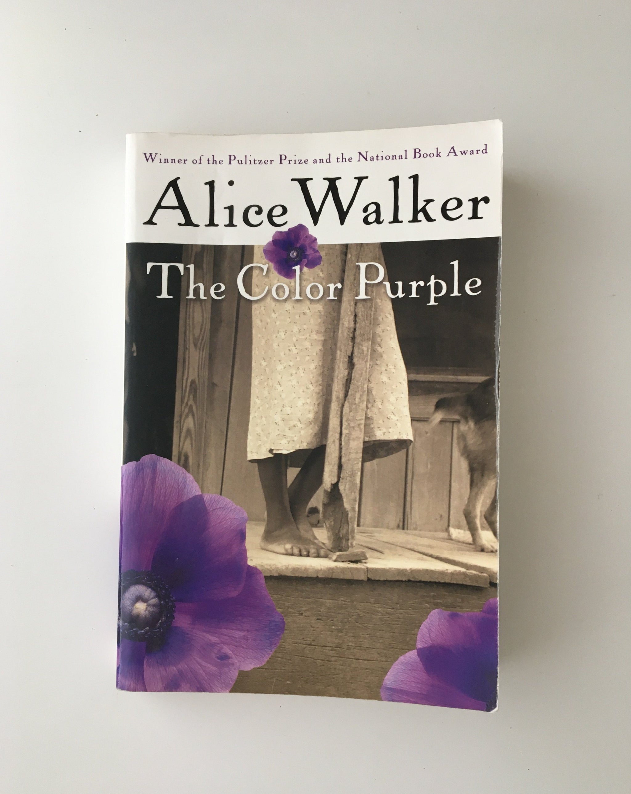 The Color Purple By Alice Walker