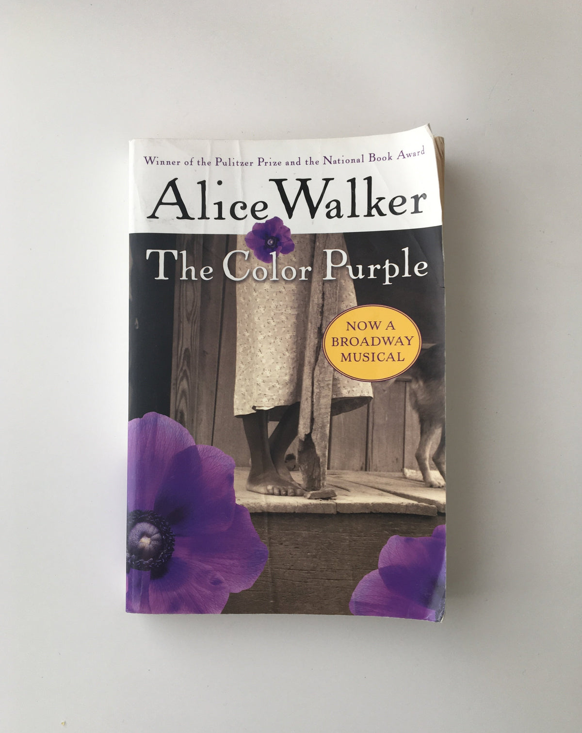 Donate: The Color Purple by Alice Walker